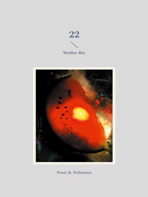 cover image of 22